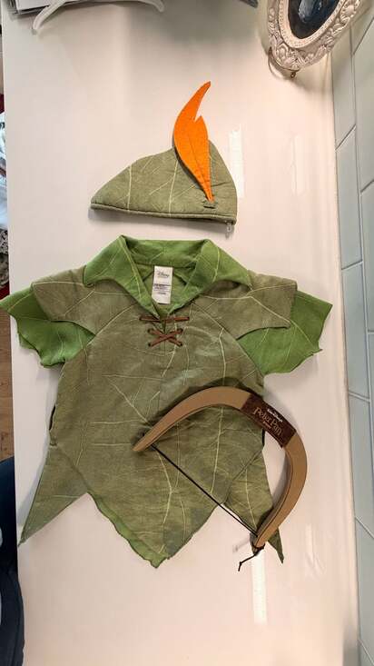 Disney Store Other - Disney Store Peter Pan Costume Size 7/8